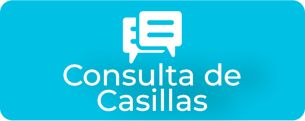 CONSULTA DE CASILLAS (1)