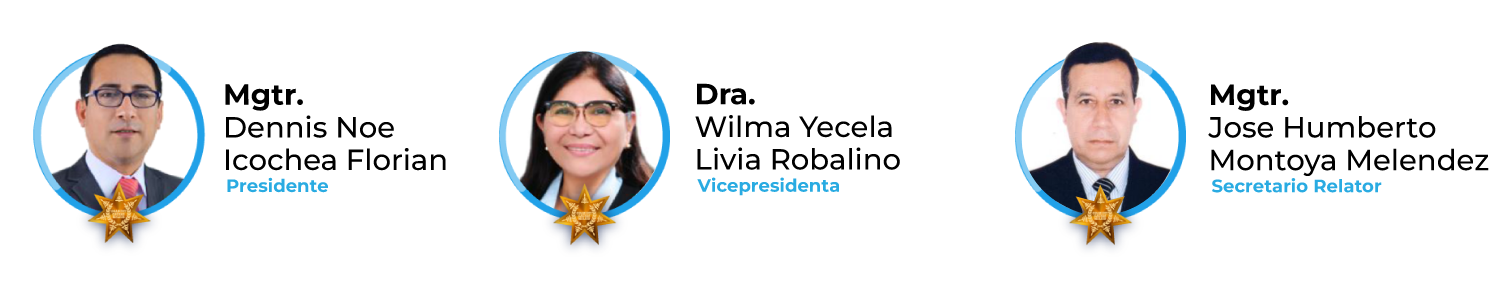 JUNTA-VIGILANCIA-2025