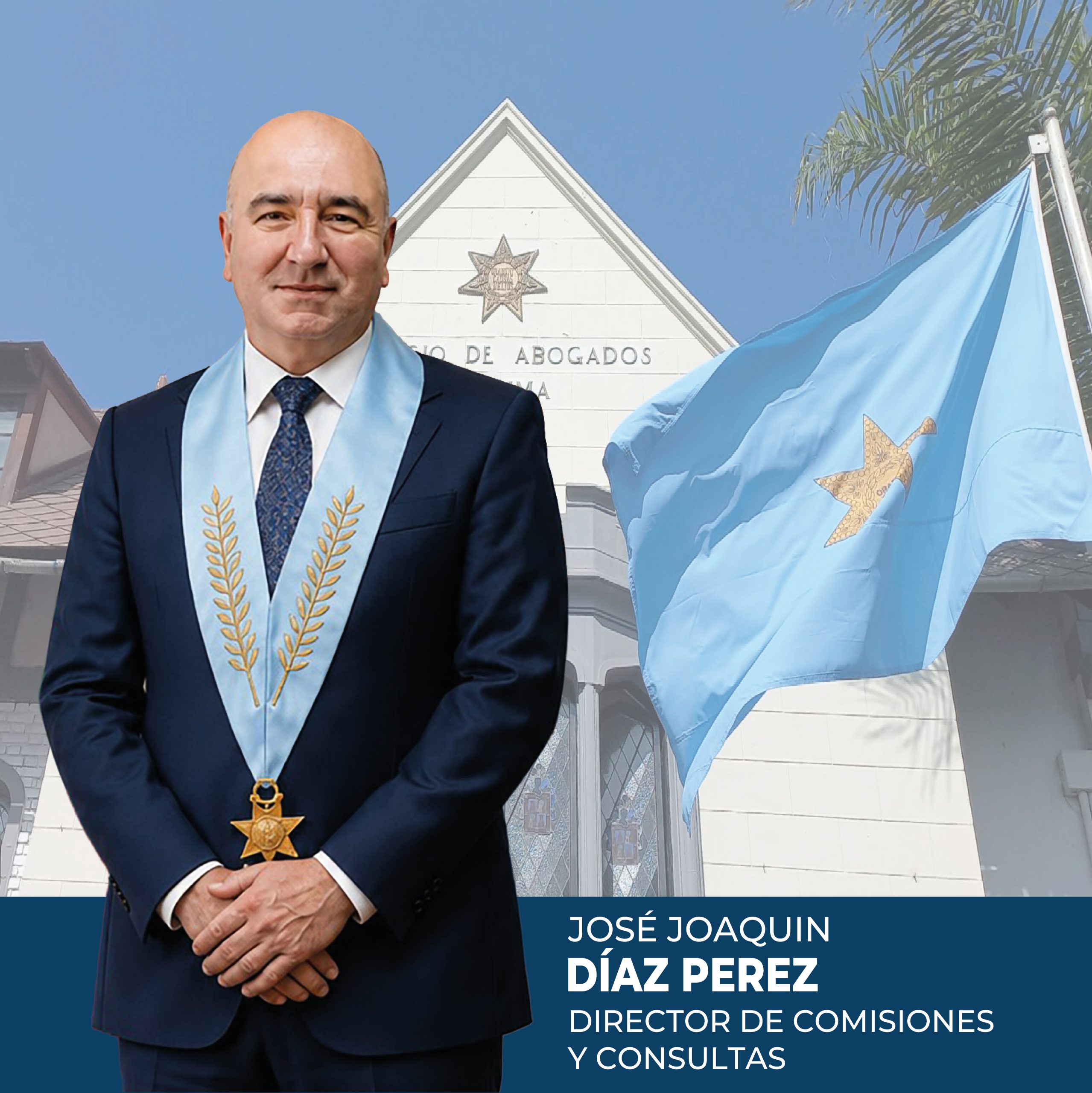 COMISIONES Y CONSULTAS - V2
